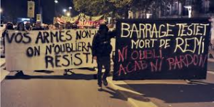 Manifestations après la mort de Rémi Fraisse
